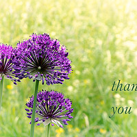 Buy canvas prints of Thank You by DiFigiano Photography