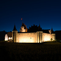 Buy canvas prints of Aigle Castle by DiFigiano Photography