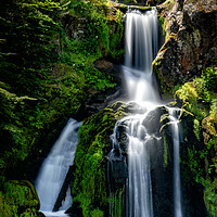 Buy canvas prints of Triberg Waterfalls by DiFigiano Photography