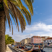 Buy canvas prints of Aveiro by DiFigiano Photography