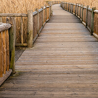 Buy canvas prints of Boardwalk Labyrinth by DiFigiano Photography