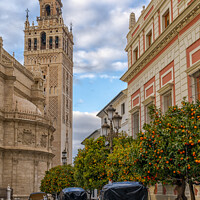 Buy canvas prints of Plaza de Triunfo by DiFigiano Photography
