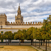 Buy canvas prints of the historic Patio de Banderas in Seville with the cathedral in the background by DiFigiano Photography