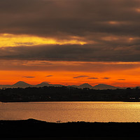 Buy canvas prints of Copeland Islands Sunset by David Doyle
