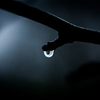Buy canvas prints of Rain Drop in the darkness by Hannan Images