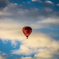 Buy canvas prints of Solo Flight by Hannan Images