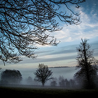 Buy canvas prints of Morning Fog by Hannan Images