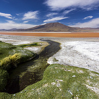 Buy canvas prints of Atacama Desert, Bolivia by Phil Spalding