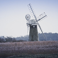 Buy canvas prints of Cormorants on a Windmill by Connor Carter