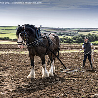 Buy canvas prints of  Ploughing the field with a horse by kathy white