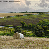 Buy canvas prints of Straw bails waiting to be collected in a field  by kathy white