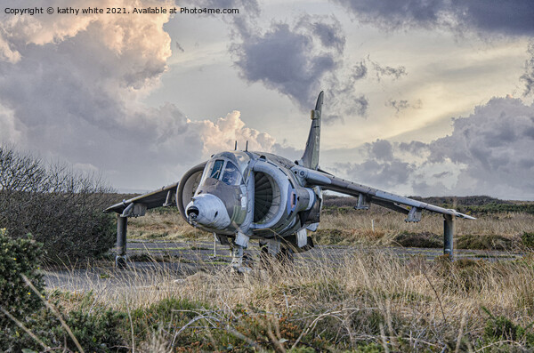 Harrier jump jet, abandoned planes of Predannack  Picture Board by kathy white