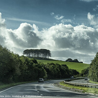 Buy canvas prints of Coming Home Trees Nearly Home Trees on A30  by kathy white
