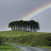 Buy canvas prints of Nearly Home Trees, Coming home trees, Cornwall tre by kathy white