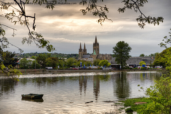 Truro Cornwall Cathedral,  reflections, Picture Board by kathy white