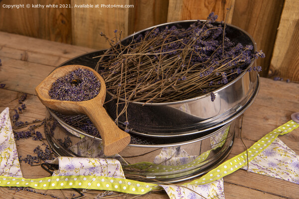 Cornwall dried Lavender;  Picture Board by kathy white