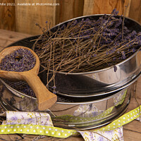 Buy canvas prints of Cornwall dried Lavender;  by kathy white