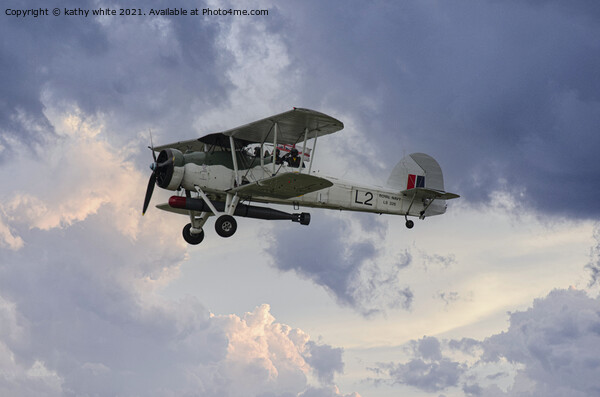 Royal Navy Fairey Swordfish airplane Picture Board by kathy white