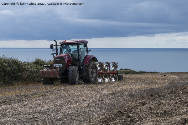  Case 160 Tractor  in a Cornish field Picture Board by kathy white