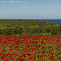 Buy canvas prints of A field of red poppies with the ocean by kathy white