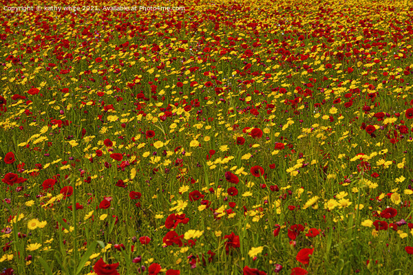 Just red and yellow, poppies and marigolds in a Wi Picture Board by kathy white