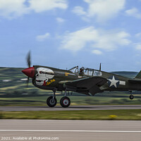 Buy canvas prints of The beautiful LuLu Belle Warbird  by kathy white