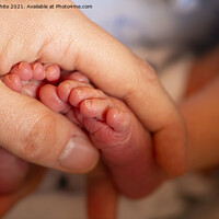 Buy canvas prints of Small cute baby feet,I have got you by kathy white