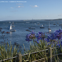 Buy canvas prints of Sailing in Falmouth Cornwall by kathy white