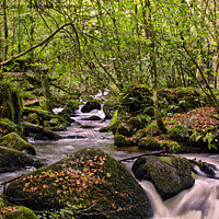 Buy canvas prints of Kennall Vale Cornwall, by kathy white