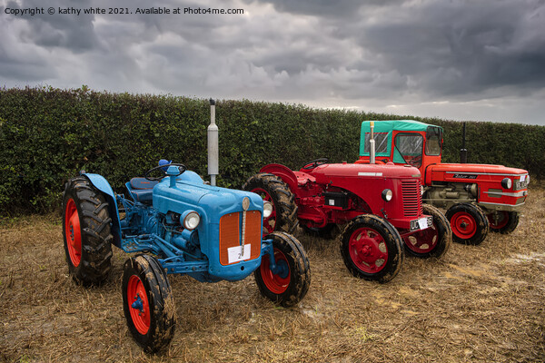3 vintage Tractors  in a Cornish field Picture Board by kathy white
