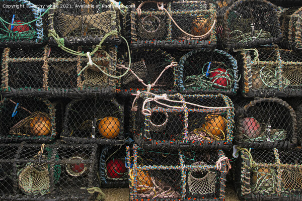 lobster pots Picture Board by kathy white