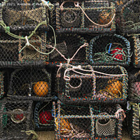 Buy canvas prints of lobster pots by kathy white