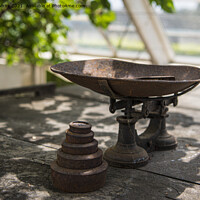 Buy canvas prints of Old weighing scales  by kathy white