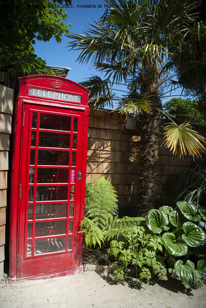  Heligan's telephone box Picture Board by kathy white