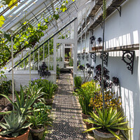 Buy canvas prints of The Lost Gardens of Heligan, greenhouse by kathy white