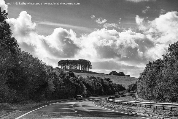 Nearly home Trees cornwall A30,local landmark comi Picture Board by kathy white