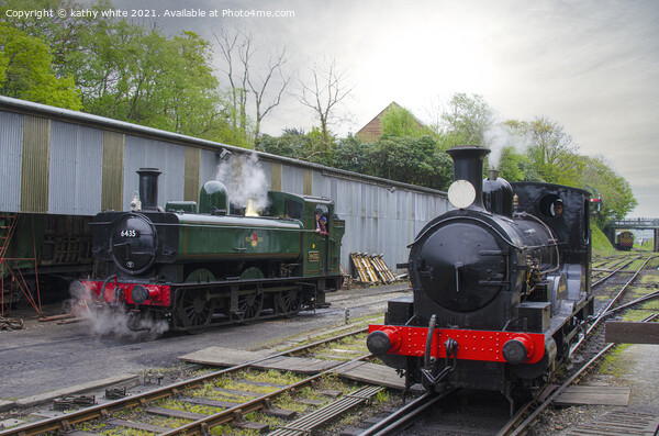 Launceston Steam Railway Picture Board by kathy white
