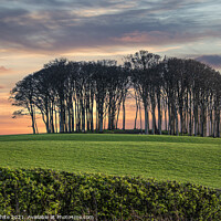 Buy canvas prints of  Coming home trees Nearly home trees  Cornwall  by kathy white