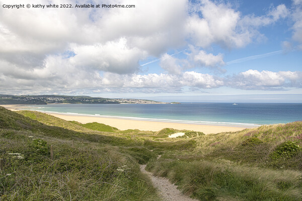 Hayle Beach Cornwall pathway to the beach Picture Board by kathy white