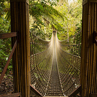 Buy canvas prints of Rope Bridge,lost gardens of Heligan by kathy white