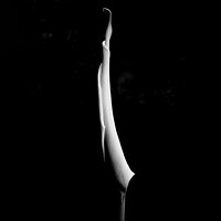 Buy canvas prints of Arum Lilies,Beautiful White Lily  by kathy white