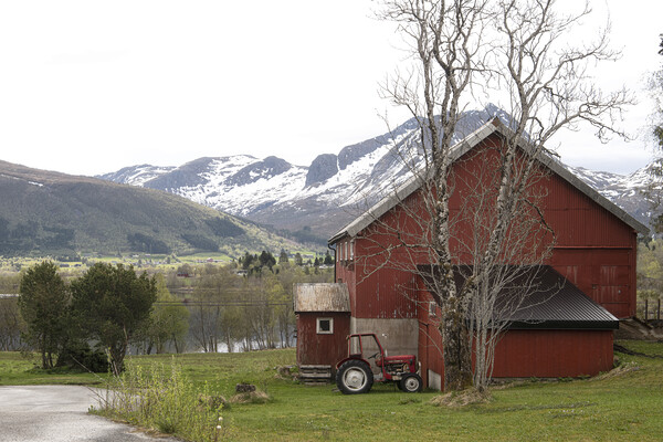 Red tractor  Norway Picture Board by kathy white