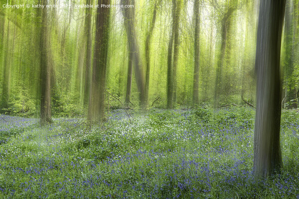 English Bluebell Wood, bluebell, Picture Board by kathy white