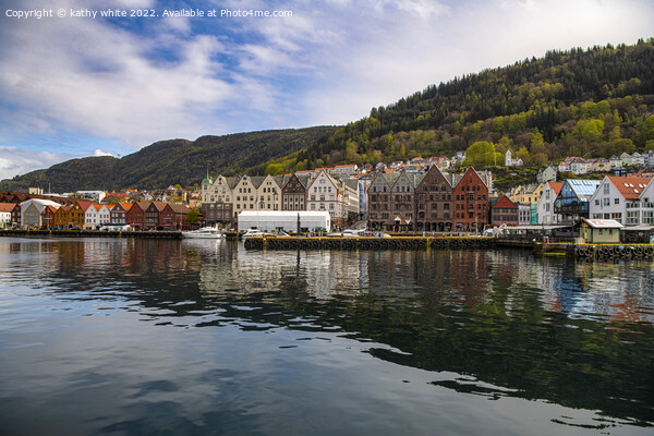 Colour of Bergen Norway Picture Board by kathy white