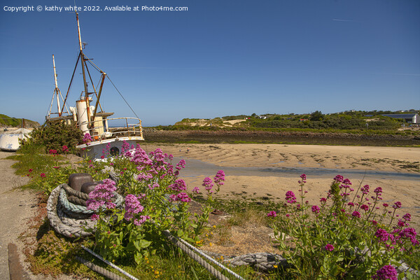 Hayle Beach Cornwall,Cornish beach  Picture Board by kathy white