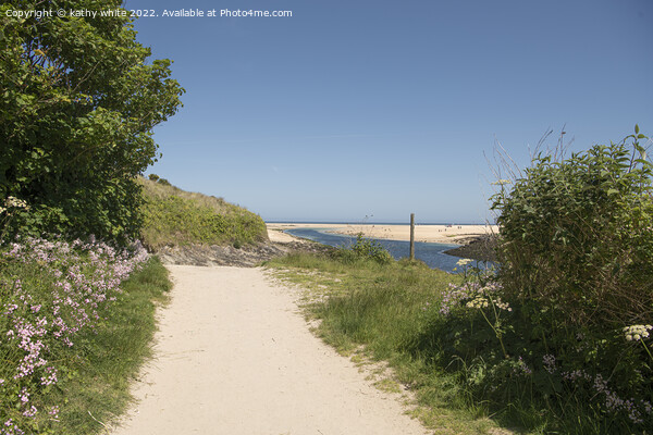 Path way to Hayle Beach Cornwall Picture Board by kathy white