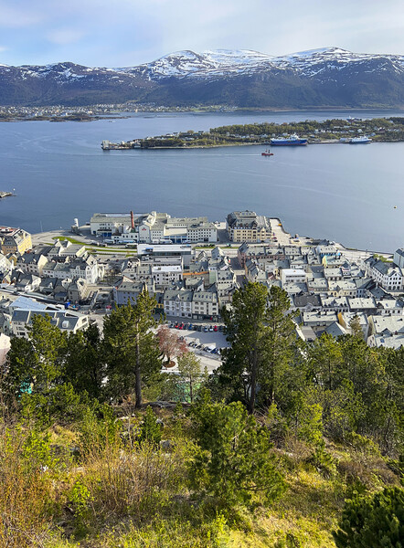 Alesund Norway Picture Board by kathy white