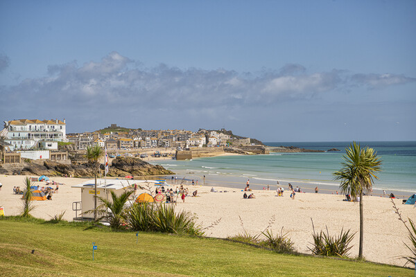 St Ives,Porthminster Beach, St Ives Cornwall Picture Board by kathy white