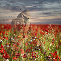 Buy canvas prints of Poppy Day Lest We Forget Remembrance by kathy white