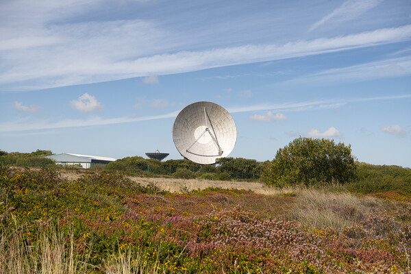 Goonhilly Earth Station, Cornwall Picture Board by kathy white